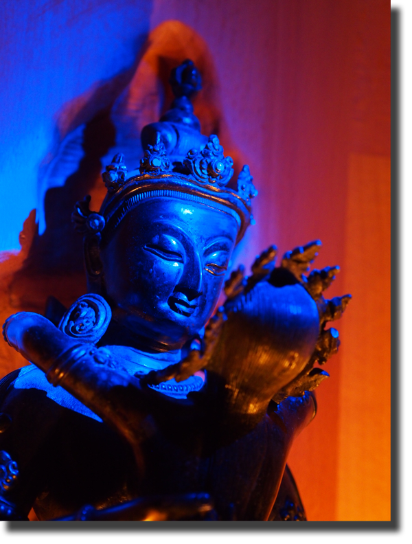 Der mystische Zen-Weg